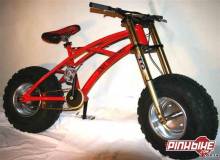 C__Documents and Settings_User 2_My Documents_My Pictures_pbpic383417.jpg