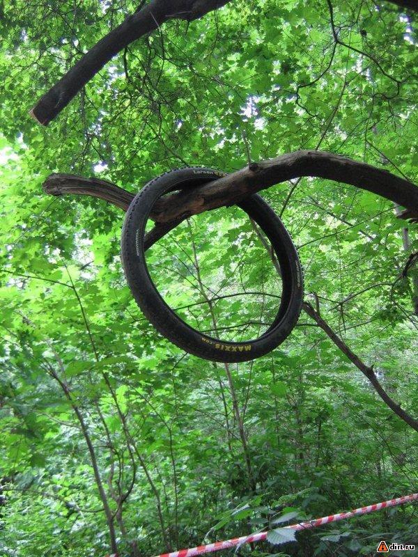 �������, ����� ���������� � ������ ������