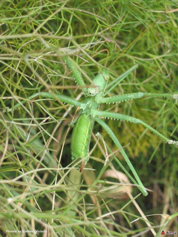 �������, ����� ���������� � ������ ������