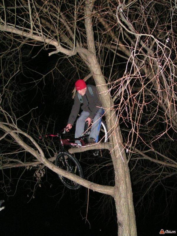 �������, ����� ���������� � ������ ������