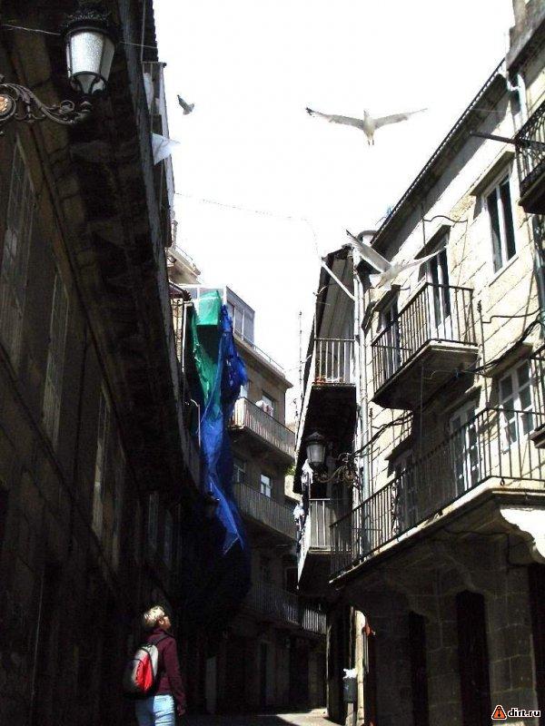 �������, ����� ���������� � ������ ������