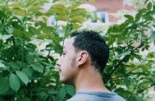 ���� ����-14 ����z.jpg