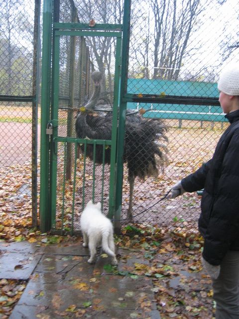 �������, ����� ���������� � ������ ������