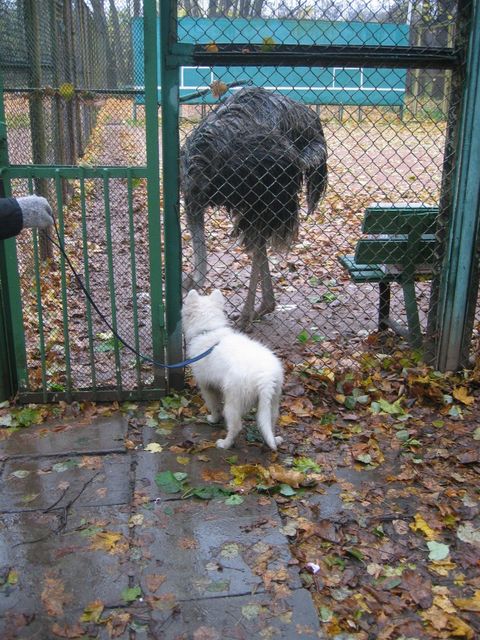 �������, ����� ���������� � ������ ������