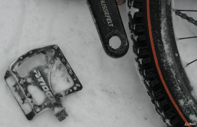 �������, ����� ���������� � ������ ������