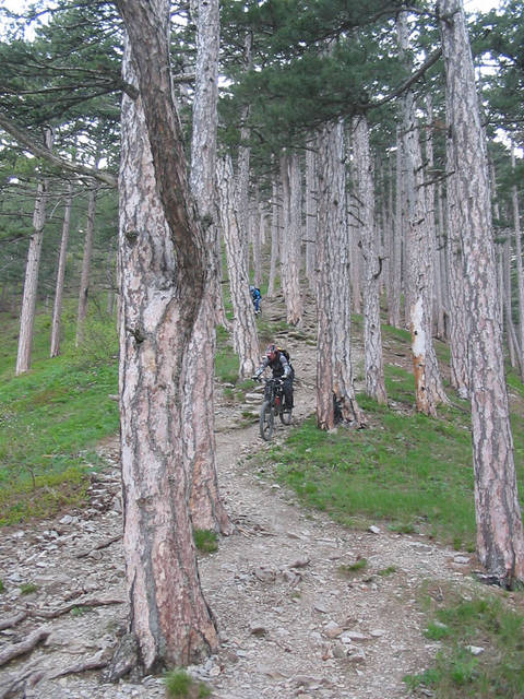 �������, ����� ���������� � ������ ������