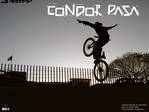 condor_pasa.jpg