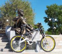 Kona Stinky Nine (2).jpg