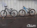 gallery_1302_45_319142.jpg