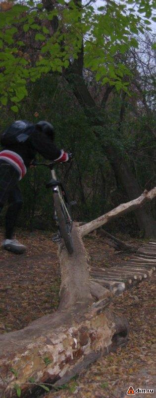 �������, ����� ���������� � ������ ������