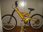 DSC01013.JPG