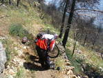 Picture_027.jpg