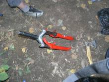 ����� ����������� 207.jpg