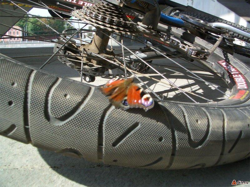 �������, ����� ���������� � ������ ������