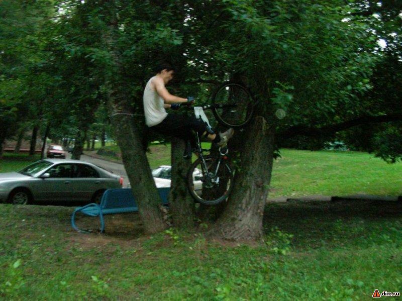 �������, ����� ���������� � ������ ������