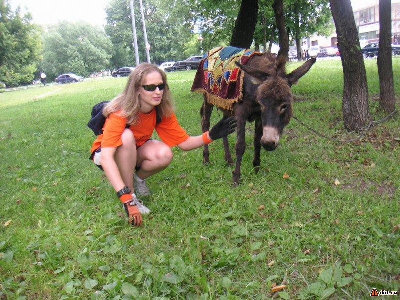 �������, ����� ���������� � ������ ������