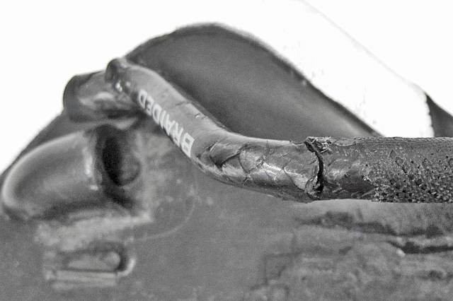 �������, ����� ���������� � ������ ������