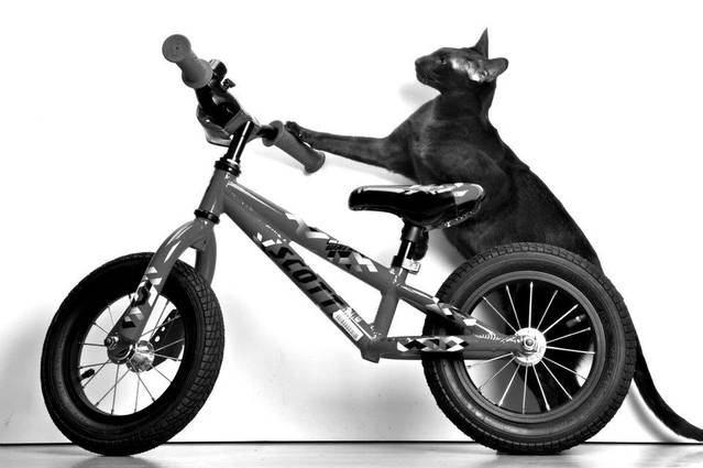 �������, ����� ���������� � ������ ������