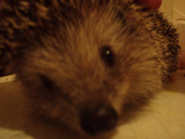 �������, ����� ���������� � ������ ������