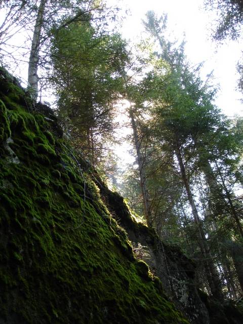 �������, ����� ���������� � ������ ������