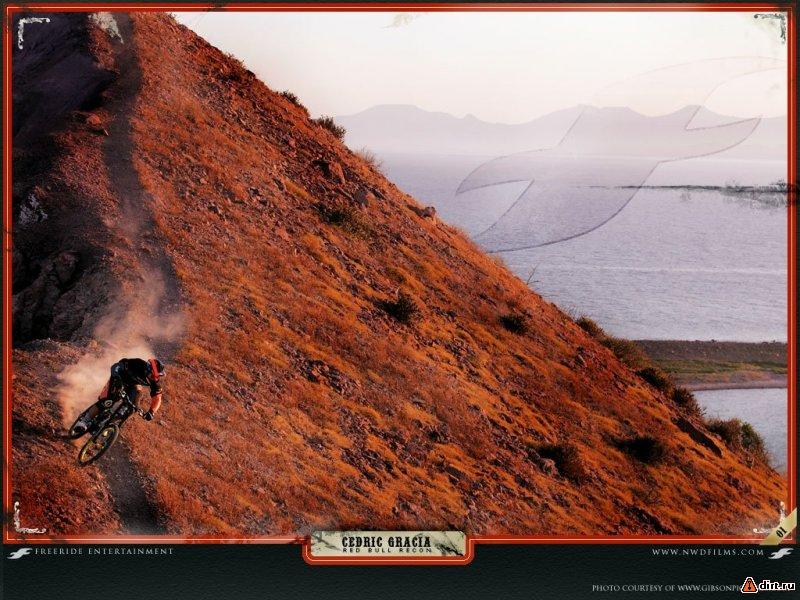 �������, ����� ���������� � ������ ������