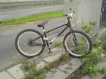 DSC00491.JPG