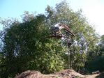 p1000590pm1.jpg