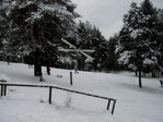 kkh96.jpg