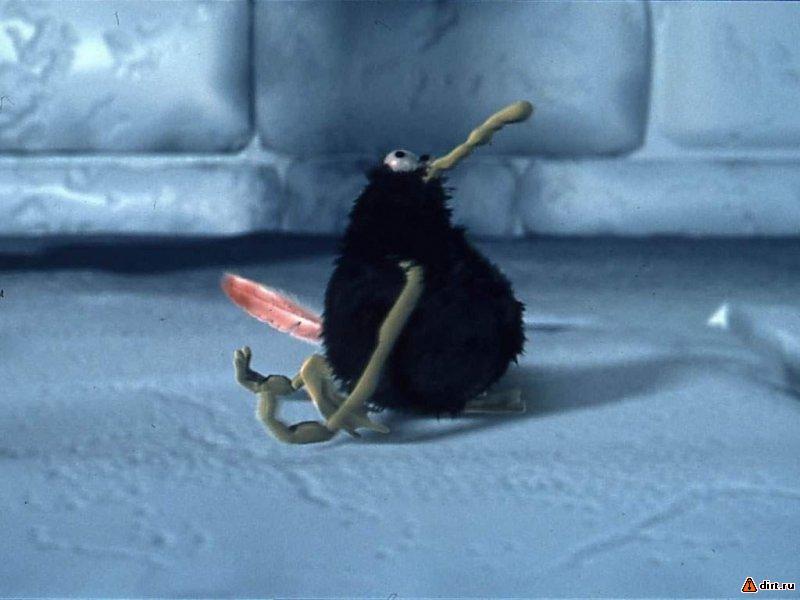 �������, ����� ���������� � ������ ������