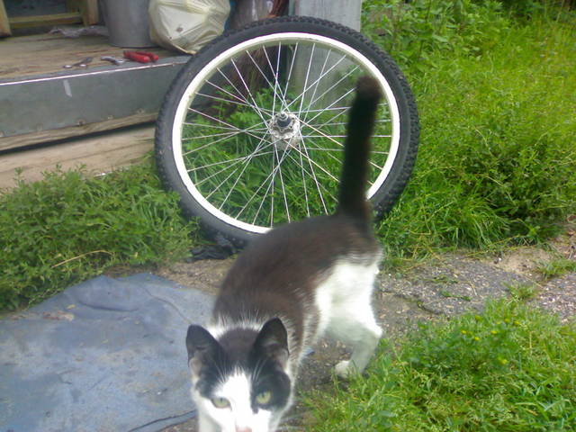 �������, ����� ���������� � ������ ������