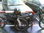 08072006(001).jpg