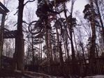 P1040009.JPG