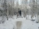 P1090419-2.JPG