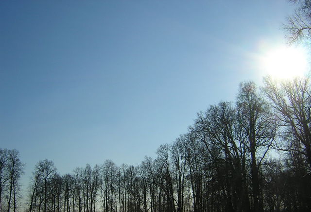 �������, ����� ���������� � ������ ������