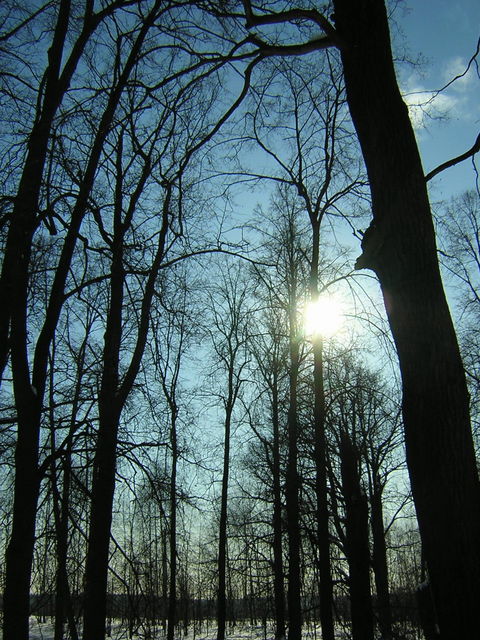 �������, ����� ���������� � ������ ������