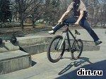 gallery_1302_1438_110742.jpg