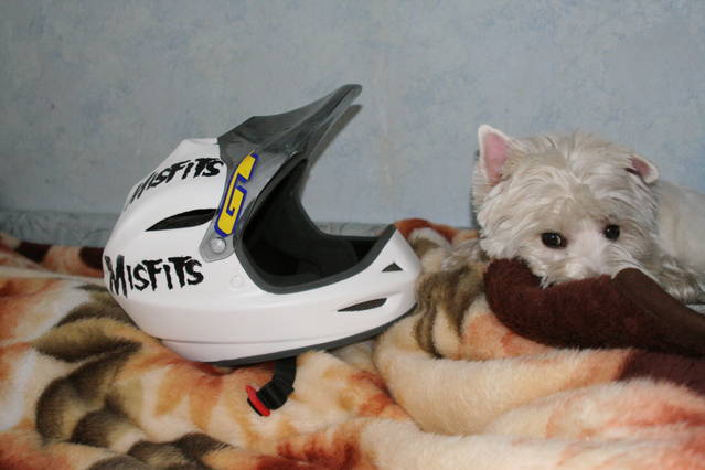 �������, ����� ���������� � ������ ������