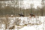 DSC02964.JPG