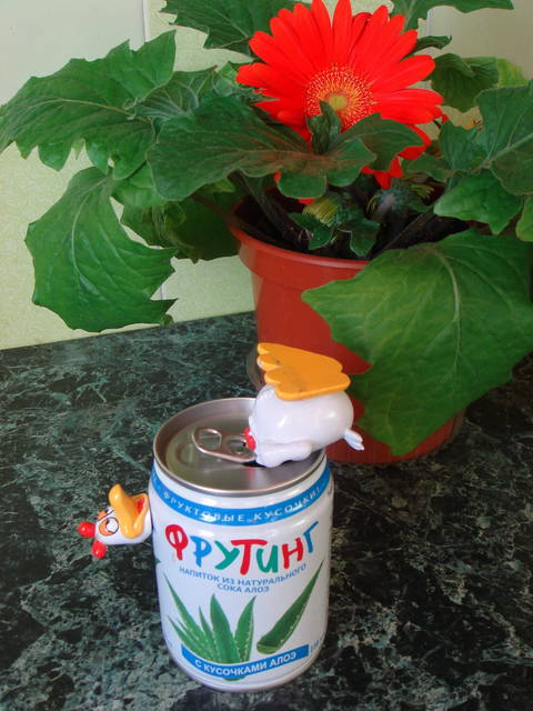 �������, ����� ���������� � ������ ������