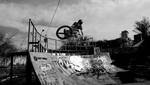DSC_6485s.jpg