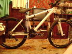 DSC01566.JPG