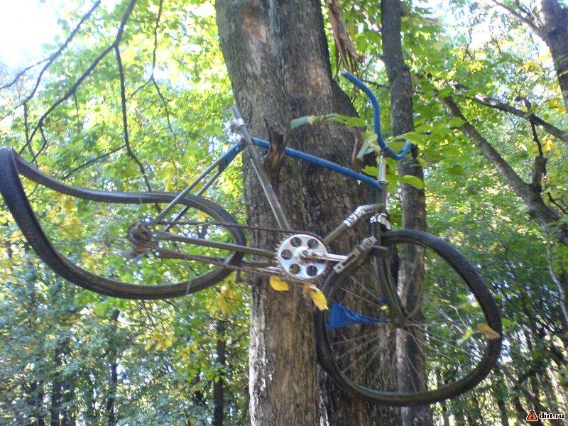 �������, ����� ���������� � ������ ������