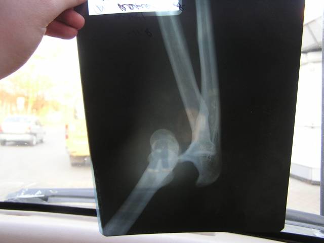 �������, ����� ���������� � ������ ������