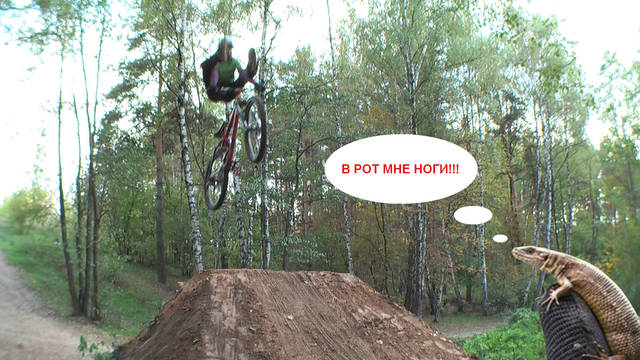 �������, ����� ���������� � ������ ������