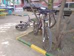 DSC00147.JPG