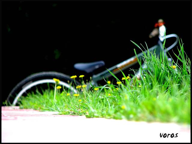 �������, ����� ���������� � ������ ������