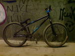 DSC00064.JPG