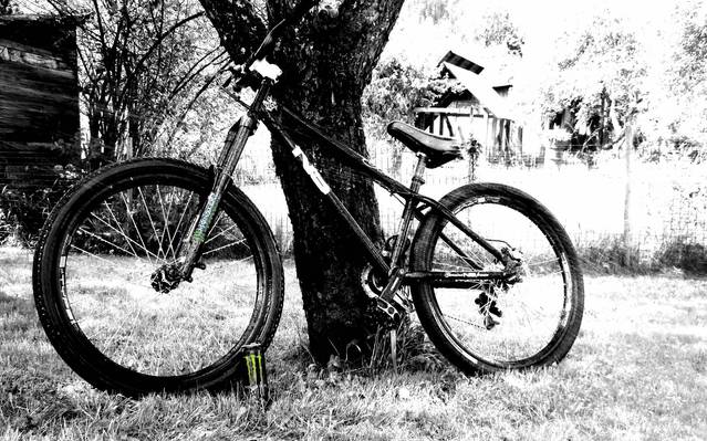 �������, ����� ���������� � ������ ������