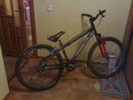 01012007339.jpg