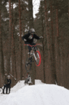 tn_img_3784_sm.gif